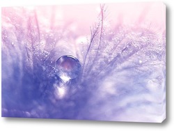   Картина Перо с каплями воды и нежными оттенками голубого и розового 