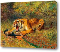  Тигры 30764