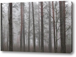   Картина туманный осенний  лес