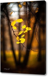   Картина Жёлтые листья на фоне чёрных стволов 2.