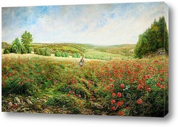   Картина Край поля в цвету