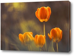   Картина Оранжево-желтые тюльпаны
