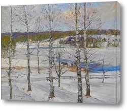    Зимний пейзаж Норрланд с березами