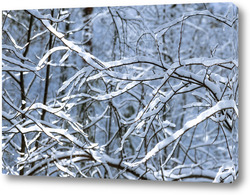   Картина Ветви дерева в первом снегу