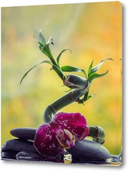   Картина Бамбук и орхидея
