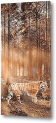    Тигр в лесу