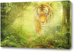    Тигр в джунглях