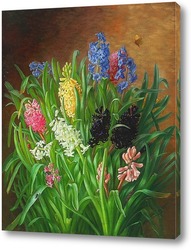   Картина Натюрморт с Гиацинтами и бабочкой