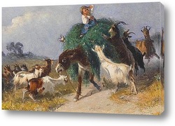    Захват сена козами