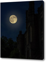   Картина Ночной пейзаж с полной луной и силуэтом старинных развалин