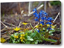  Первые подснежники 