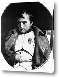  Картина Наполеон (5)