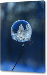   Картина Замёрзший мыльный пузырь на высохшем цветке