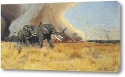   Картина Слоны