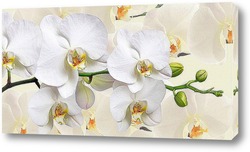   Картина "Орхидея".