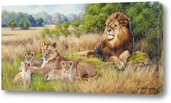   Картина Львы на отдыхе