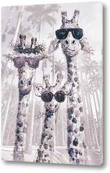    Жирафы стиляги