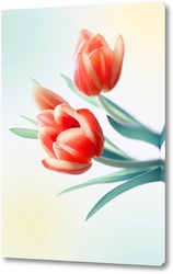   Картина Три тюльпана
