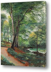   Картина Буковый лес с потоками