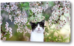   Картина котенок и цветы