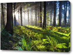   Картина Водопады и леса 85307