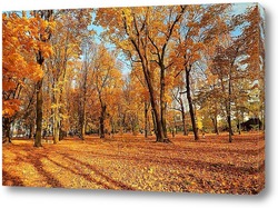    Осень в Асеевском парке