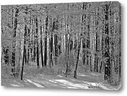   Картина Ольховый зимний лес