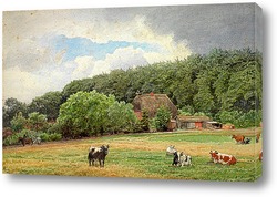    Ферма с пасущимися коровами