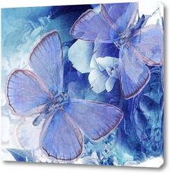    Синие бабочки