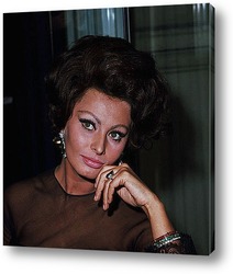   Картина Sophia Loren-12