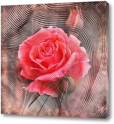   Картина Бутон розы