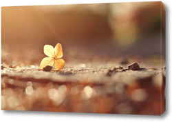   Картина Макро 45833