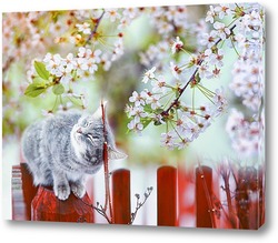   Картина котенок в цветущем саду