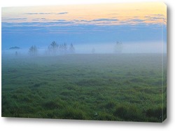   Картина Туманное утро
