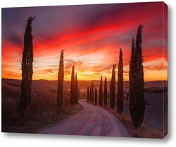   Картина закат в Тоскане