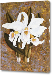   Картина Орхидеи белые