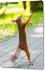  cute young squirrel on tree with held out paw against blurred winter forest in background.	