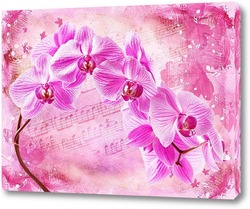   Картина Цветущая орхидея