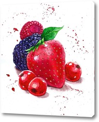  raspberry on white background