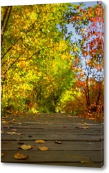   Картина Деревянная дорожка, в осеннем парке