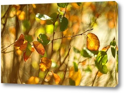  Рябиновые листья 