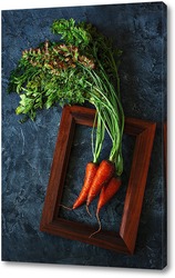    Свежая морковка. Портрет