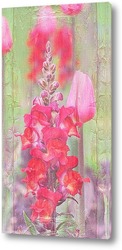  Красные орхидеи