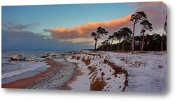   Картина Балтийский берег зимой