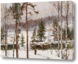  Зимний пейзаж в лучах вечернего солнца
