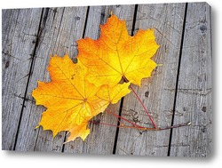   Картина Осенние кленовые листья