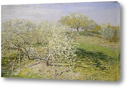    Весна (цветение фруктовых деревьев)