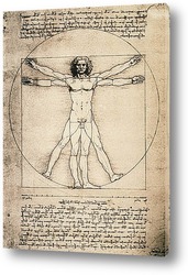   Картина Leonardo da Vinci-24