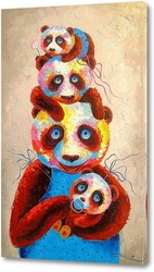    Семья панды