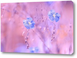   Картина Цветущий лён голубой на розовом фоне. Голубые цветы полевые